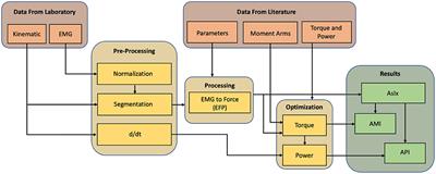 Assessment methodology for human-exoskeleton interactions: Kinetic analysis based on muscle activation